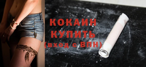 шишки Володарск