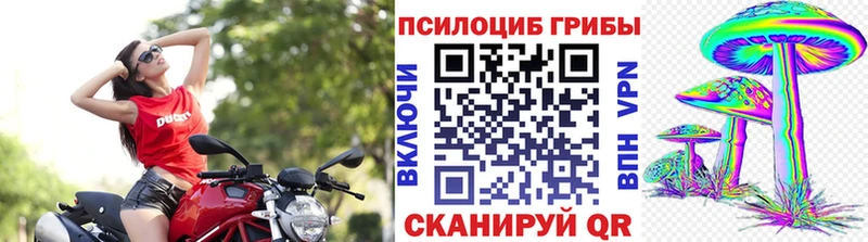 купить наркотик  Бийск  Галлюциногенные грибы Cubensis 